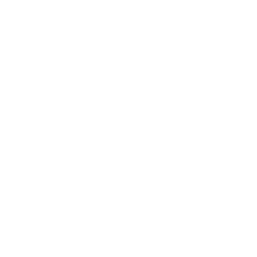 E.X. INC Logo
