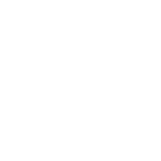 E.X. INC